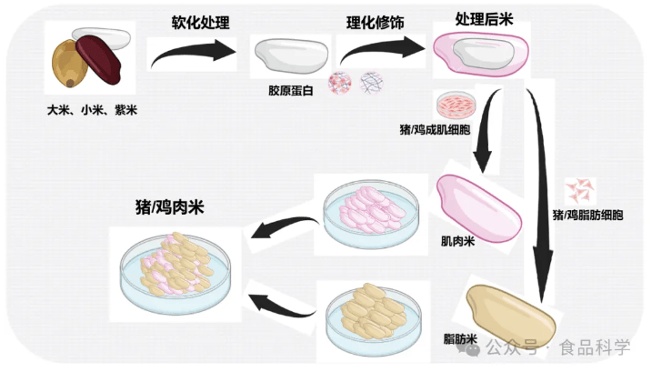 雞肉/豬肉系列米制品研發成功