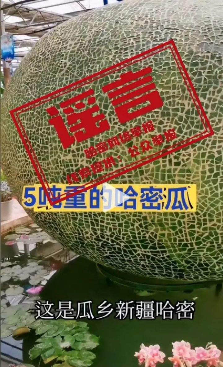 官方辟謠“新疆現(xiàn)巨大哈密瓜”：官方澄清實為模型，非真實種植產(chǎn)物