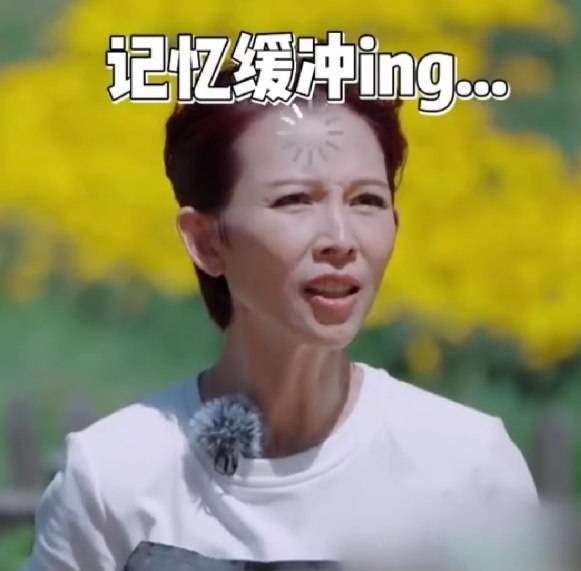 蔡少芬除了剪秋一個宮女都不記得 網(wǎng)友：蔡少芬有點像是走錯節(jié)目