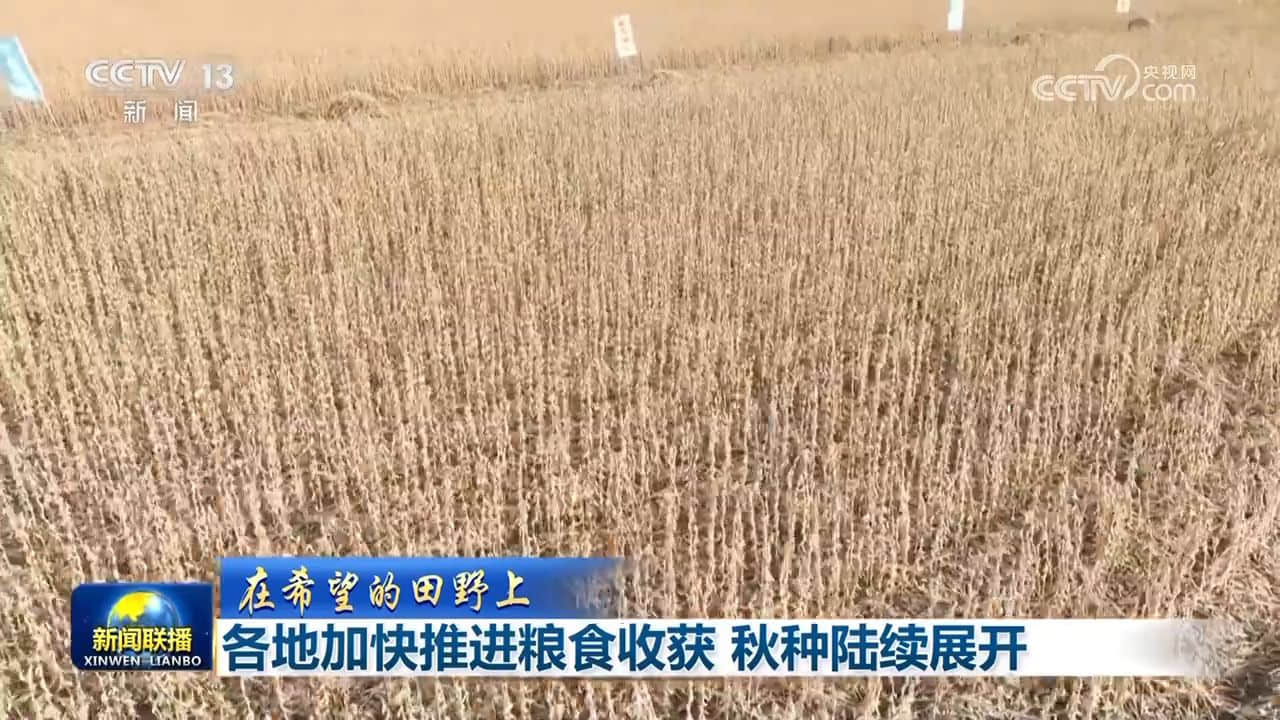 【在希望的田野上】各地加快推進糧食收獲 秋種陸續展開