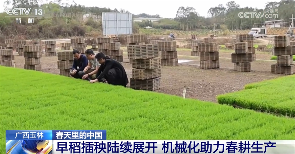 萬象“耕”新不負春 希望的田野上農業現代化圖景滿滿“科技范兒”